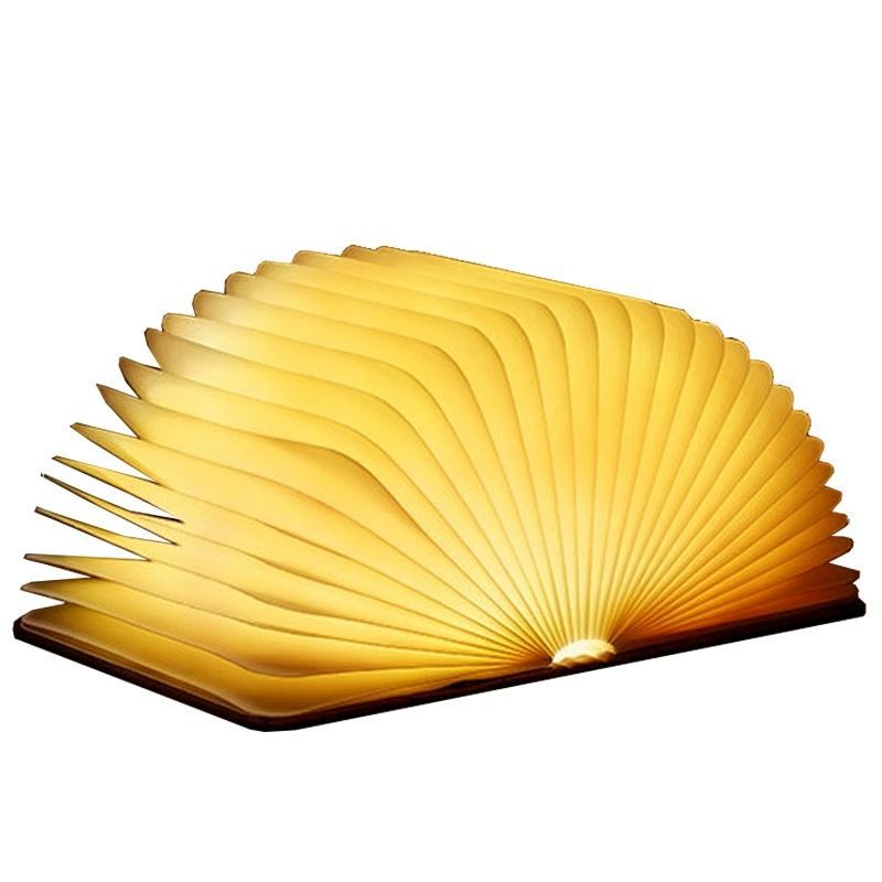Livre lampe