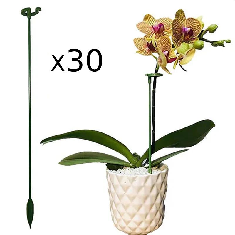 Lot de 30 tuteurs de plantes